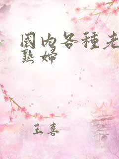 国内各种老熟女熟妇