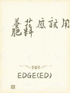 养花应该用什么肥料