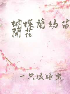 蝴蝶兰幼苗多久开花