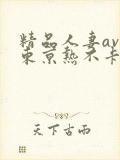 精品人妻av区东京热不卡