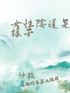 女性阴道是什么样子