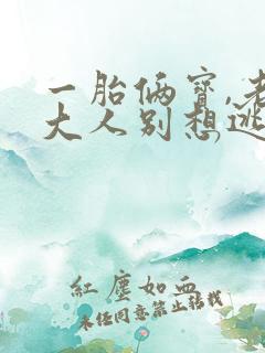 一胎俩宝,老婆大人别想逃下载全文