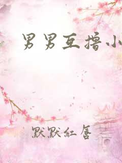 男男互撸小说