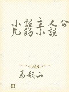 小说主人公叶不凡的小说