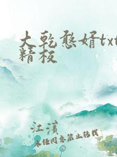 大乾憨婿txt精校