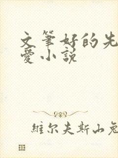 文笔好的先婚后爱小说