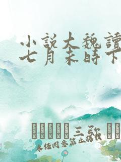 小说大魏读书人七月未时下装电子书