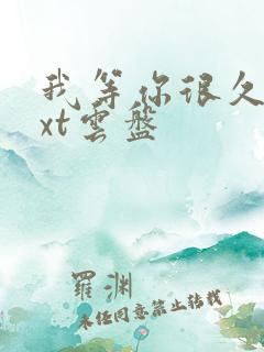 我等你很久了txt云盘