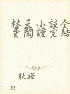 林天小说全文免费阅读完结篇