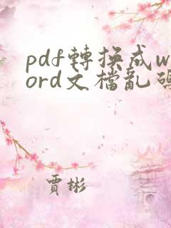 pdf转换成word文档乱码怎么办