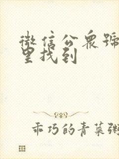 微信公众号从哪里找到