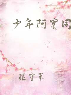 少年阿宾同人文