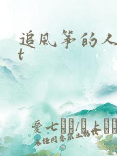 追风筝的人txt