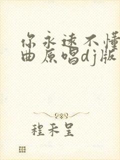 你永远不懂我歌曲原唱dj版