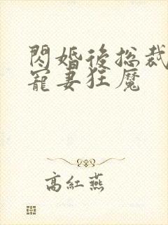 闪婚后总裁成了宠妻狂魔