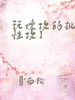 玩坏攻的批【双性攻】