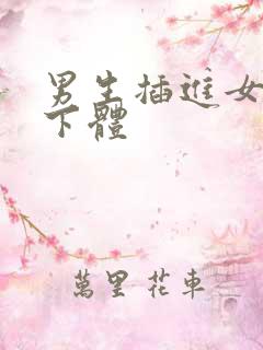 男生插进女生的下体