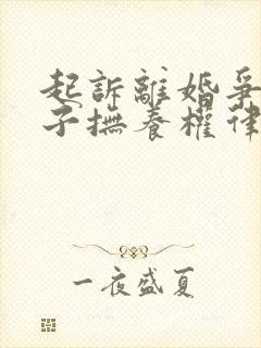 起诉离婚争取孩子抚养权律师费