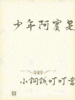 少年阿宾是什么