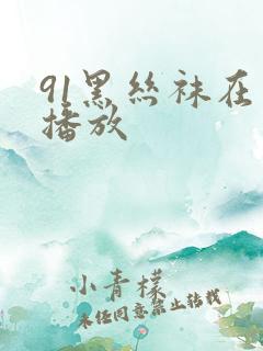 91黑丝袜在线播放