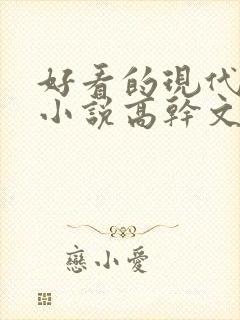 好看的现代言情小说高干文
