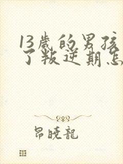 13岁的男孩到了叛逆期怎么教