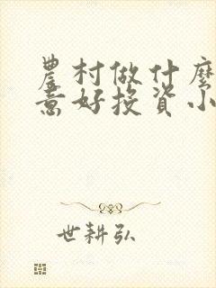 农村做什么小生意好投资小见效快的生意