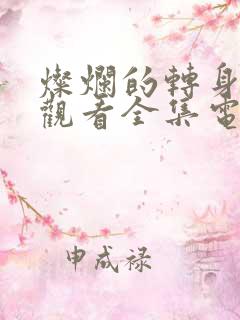 灿烂的转身免费观看全集电视剧