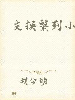 交换系列小说h