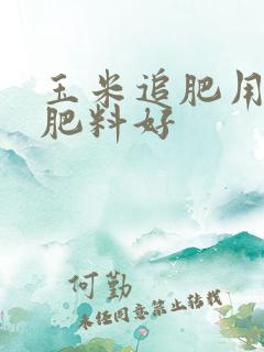 玉米追肥用什么肥料好