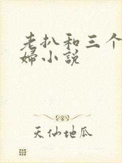 老扒和三个儿媳妇小说