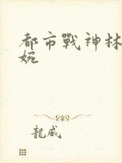 都市战神林北苏婉