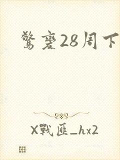 惊变28周下载