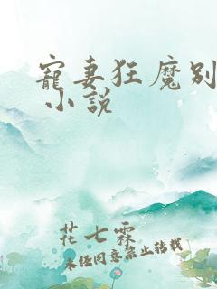 宠妻狂魔别太坏 小说