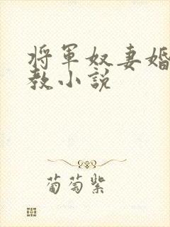 将军奴妻婚房调教小说