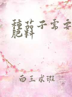 种茄子需要什么肥料