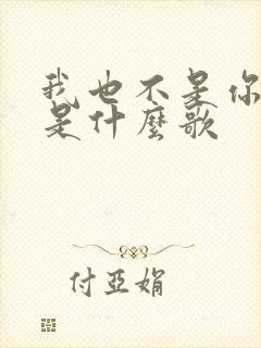 我也不是你的谁是什么歌
