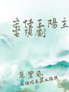宋佳王阳主演的电视剧