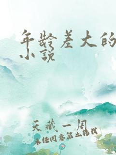 年龄差大的言情小说