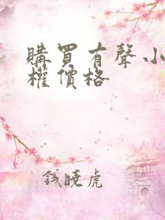 购买有声小说版权价格
