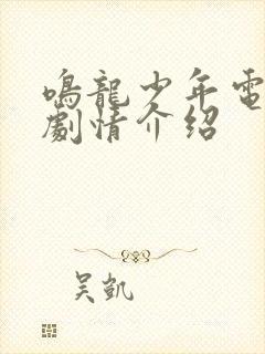 鸣龙少年电视剧剧情介绍