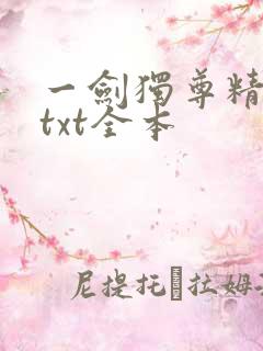 一剑独尊精校版txt全本