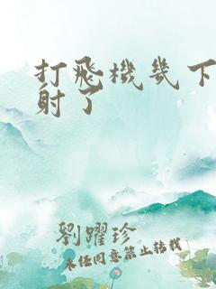 打飞机几下就想射了