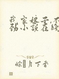 我家娘子,不对劲小说在线免费