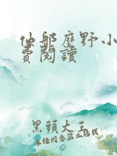他那么野小说免费阅读