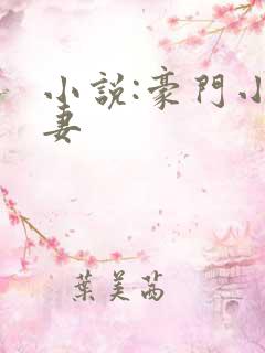 小说:豪门小娇妻