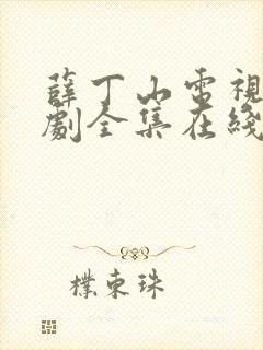 薛丁山电视连续剧全集在线观看战争