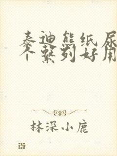 泰迪熊纸尿裤哪个系列好用