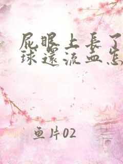 屁眼上长了个肉球还流血怎么办