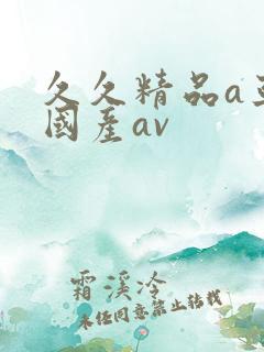 久久精品a亚洲国产av